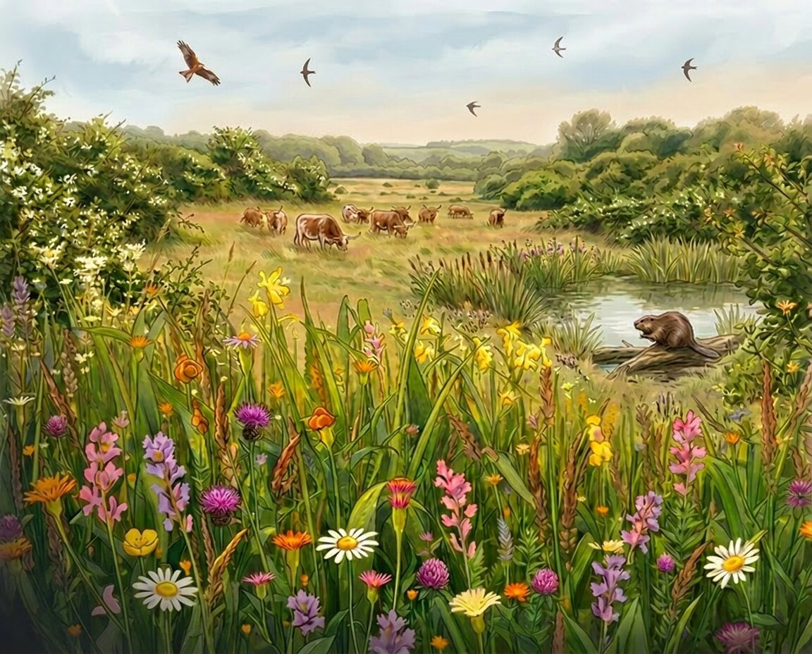 A restored English lowland: a wildflower meadow with grazing cattle, a beaver at a pond, and a red kite and swifts overhead.